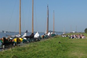 Skûtsjes afgemeerd bij een eiland in de friese meren dicht bij Heeg